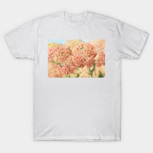 Achillea millefolium &#39;Salmon Beauty&#39; T-Shirt